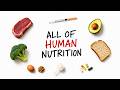 ALL OF NUTRITION SCIENCE In 13 Minutes No BS
