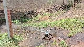  Agricultural Land for Sale in Humnabad, Bidar