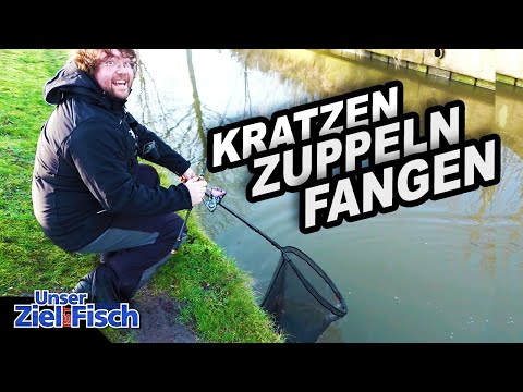 HAMMER BITES in the air: 'C-RIG' SIMPLY EXPLAINED - Our goal is fish - The Fishing School