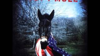 Gov't Mule ~ Can't Get Next To You