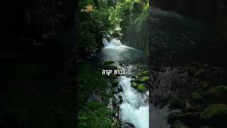 איך לעבור את חג הסוכות בשמחה אמיתית? קצר וקולע! (הרב דוד פריוף) - התמונה מוצגת ישירות מתוך אתר האינטרנט יוטיוב. זכויות היוצרים בתמונה שייכות ליוצרה. קישור קרדיט למקור התוכן נמצא בתוך דף הסרטון