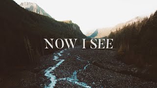 Now I See - The McClures (Lyrics)