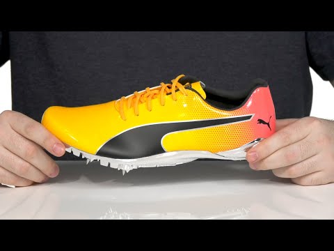 puma evospeed sale