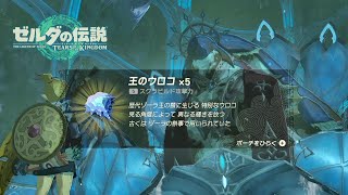 ドレファン王あまりにも気前が良すぎる【ゼルダの伝説ティアーズオブキングダム】#18