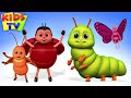 Bugs Bugs Bugs Song Insect Song Creepy Crawly Bugs From Kids Tv