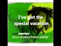 Bob Marley Soul Shakedown Party Lyrics on Screen