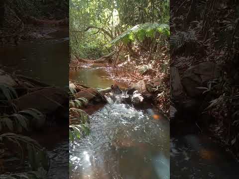 as cachoeiras, Orizona Goiás #paisagemnatural #nature #naturezasurpreendente