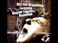 Are You Breathing: The String Quartet Tribute To Disturbed - Down With The Sickness