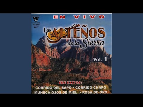 Te He Prometido video