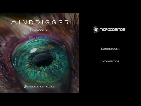 Minddigger - Introspection