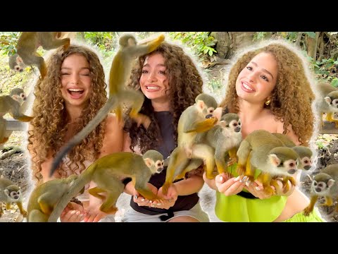Kalogeras Sisters GET ATTACKED BY MONKEYS!