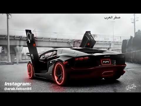 صقر العرب لولو || arab falcon lulu