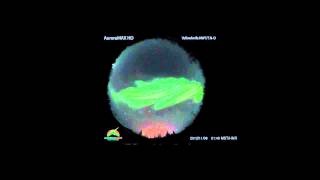 Aurora Borealis timelapse. Yellowknife.