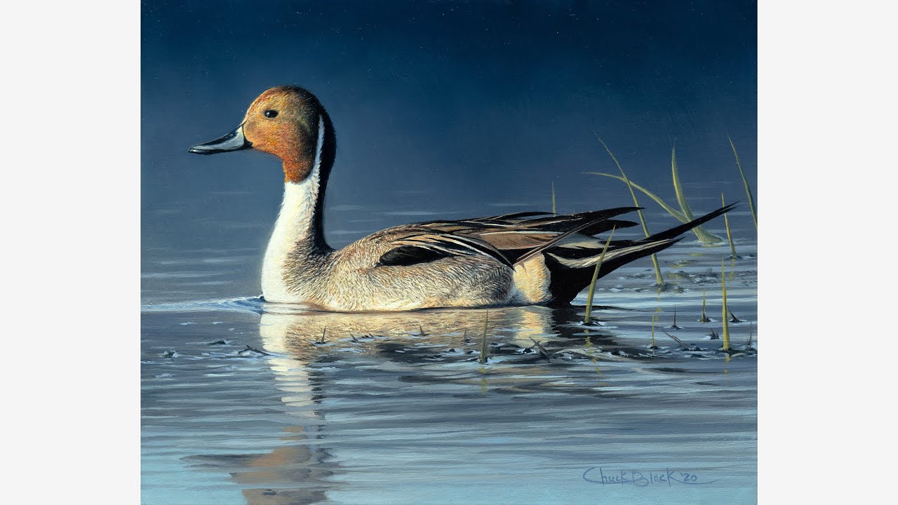 realistic wildlife oil painting tutorial by chuck black