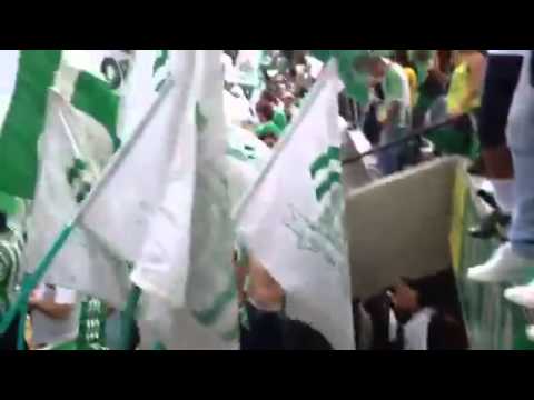 "De la cuna hasta el cajon" Barra: Los del Sur &bull; Club: Atlético Nacional