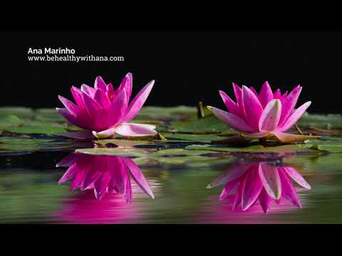 Nam myoho renge kyo - Fast chanting --- Gongyo and Daimoku