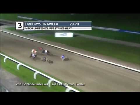 2018 MSCN ECLIPSE STAKES - HEAT 6 - T3 DROOPYS TRAWLER