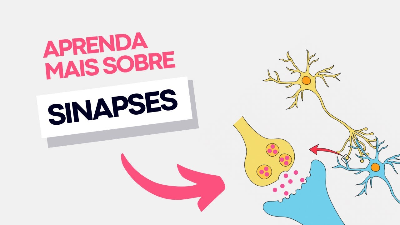 Você sabe como ocorre a SINAPSE? | Neurofisiologia