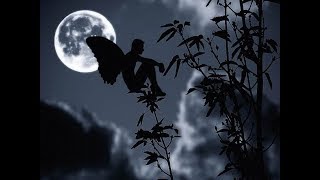 ULTIMO RACCONTERO&#39; DI TE