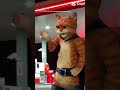 Puss In Boots