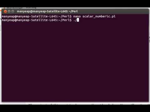 Perl Numeric Scalar Example