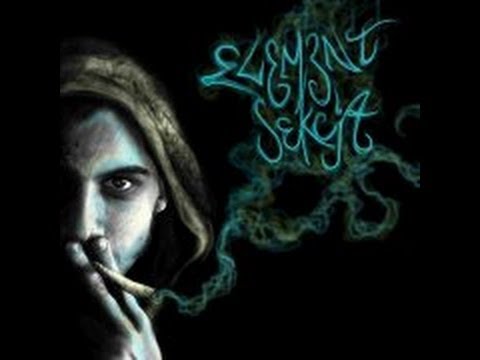 ElementSekcja-Reprezentacja Sekcji