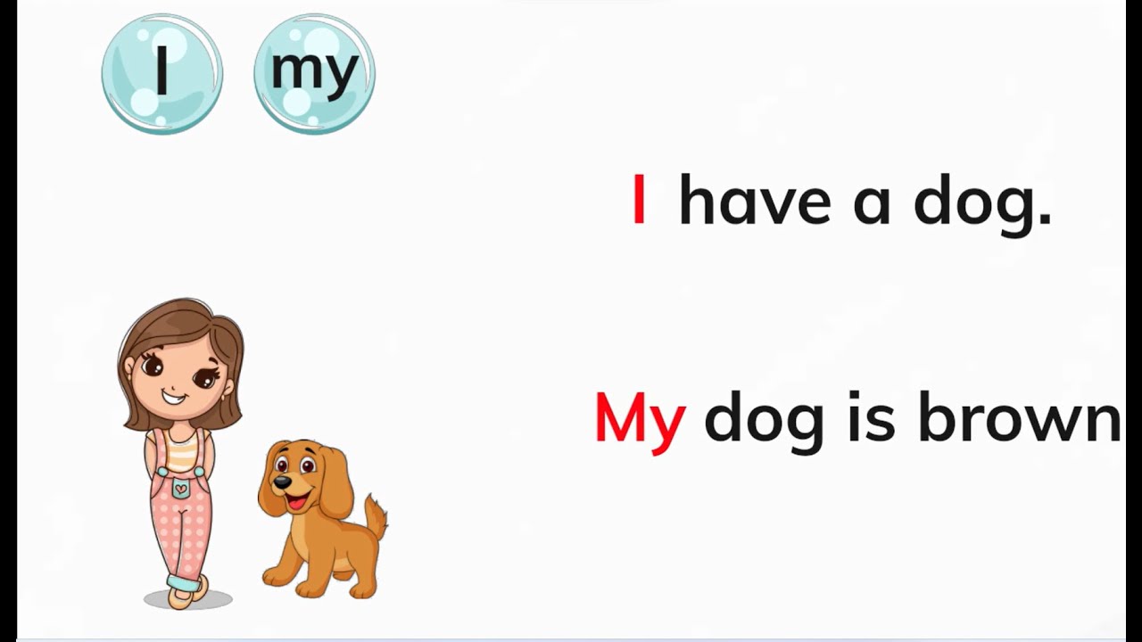 Possessive Adjectives| Reading | Grammar for kids