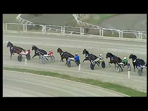 Napoli Trotto 21/01/2022 - 4ª corsa