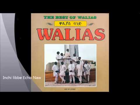 Walias Band and Mahmoud Ahmed