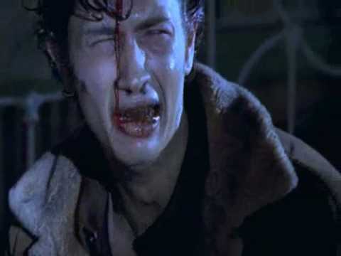 Daniel Landa Stvůry