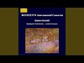 Cor Anglais Concerto in G Minor: Andante con Variationi