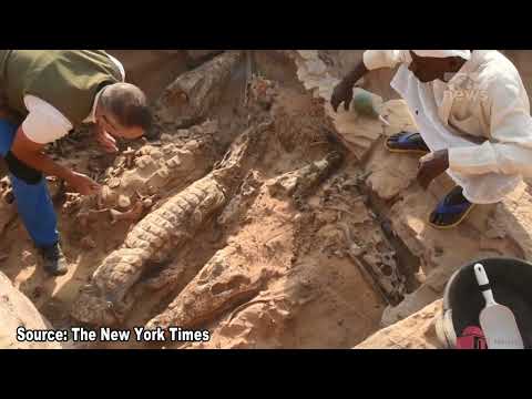 Top News - Krokodilë të mumifikuar /Zbulohet varri masiv në Egjipt