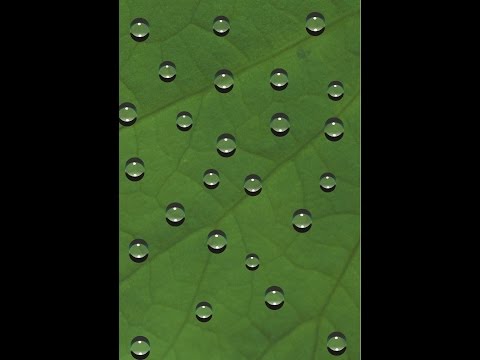 scribus 1.5 - waterdrop vectorgraphic