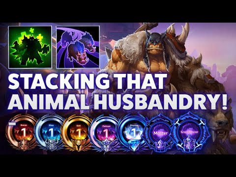 Rexxar Unleash the Boars - STACKING THAT ANIMAL HUSBANDRY! - Bronze 2 Grandmaster S1 2023