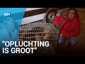 Mandy en Rebecca redden zwerfhonden uit Roemeens dodenasiel