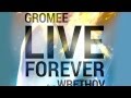 Gromee feat. Wrethov - Live Forever (Radio Edit ...