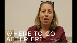 Where to go after ER - R Sound Speech Therapy Help