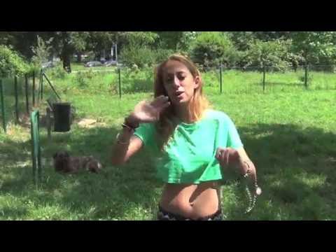 Il Segreto del Collare a Strozzo