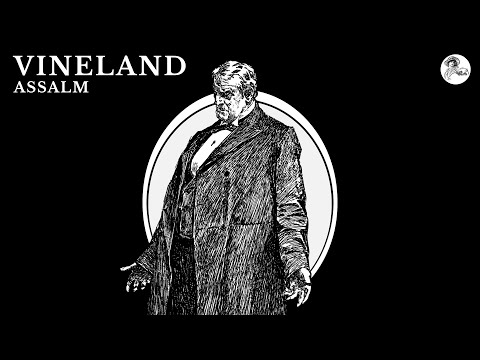 Assalm - Vineland