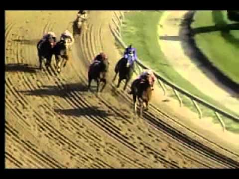 Pimlico 05/17/13 Race 12 - Pimlico Special
