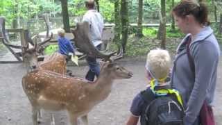 preview picture of video 'Ferienfreizeit im Gutshaus Lalendorf'