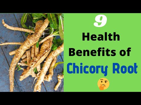 , title : 'The 9 Health Benefits of Chicory Root 🌱