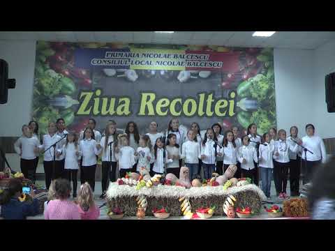 ZIUA  RECOLTEI   COM   NICOLAE  BALCESCU    JUD   CONSTANTA   2018  NR   2.