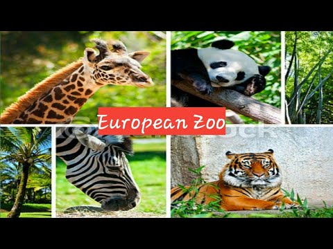 A DAY AT KRAKOW ZOO PARK🐅🦄_ THE BEST PLACE IN EUROPE.