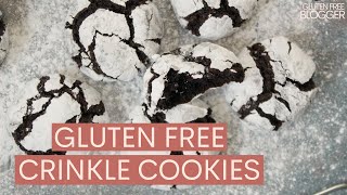 Gluten Free Crinkle Cookies Recipe | Christmas Baking