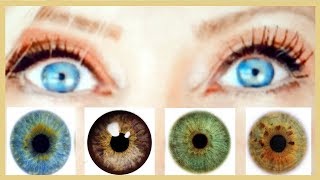 Colours That Make Your Blue, Brown, Green Or Hazel Eyes Pop! Make Your Eyes Stand Out!