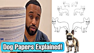 How to register your dog & Litters! Tips & Tricks!