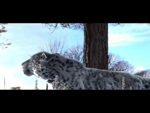 Snow Leopard - Making Of