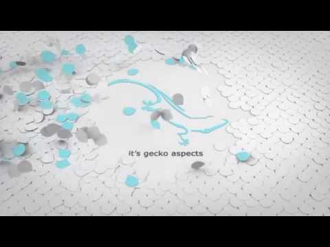 Gecko Aspects video.