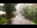 Windy And Thundering Rain Walking Through My Small Village Local Looks